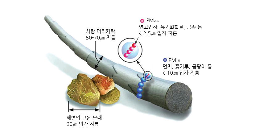 미세먼지 크기 비교 사람 머리카락은 50-70㎛ 지름 , PM2.5(연고입자,유기화합물,금속 등) < 2.5㎛ 입자 지름 , PM10(먼지,꽃가루,곰팡이 등) <10 ㎛ 입자 지름