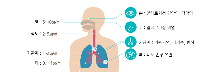 미세먼지로 인해 발생할 수 있는 각종 질병. 눈 : 알레르기성 결막염,각막염 ,코(5~10㎍/㎥) : 알레르기성 비염 ,식도(2~5㎍/㎥) ,기관지 (1~2㎍/㎥): 기관지염,폐기종,천식 ,폐(0.1~1㎍/㎥) : 폐포 손상 유발